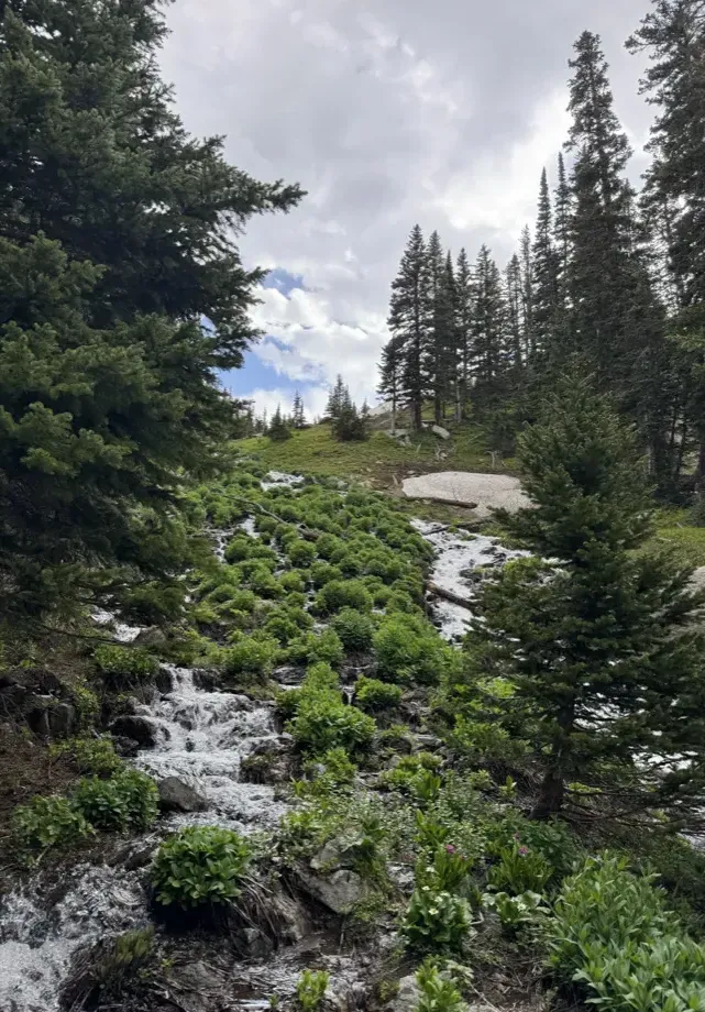 Mountain trail
